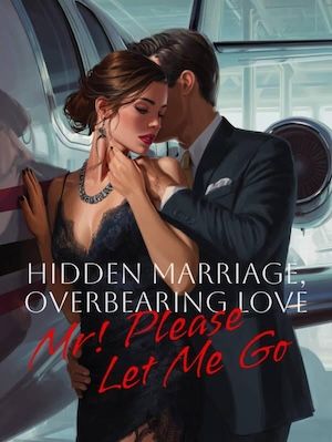 Hidden Marriage, Overbearing Love: Mr! Please Let Me Go - Novel Cover