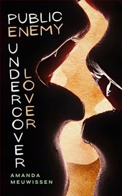 Public Enemy, Undercover Lover - Novel Cover