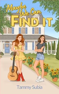 Maybe We Can Find It - Novel Cover