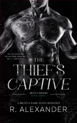 The Thief's Captive - Novel Cover
